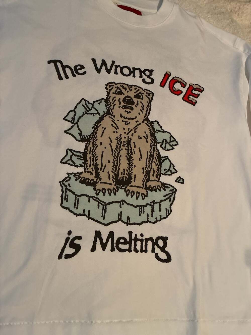 CHNGE The Wrong ICE Is Melting Organic Cotton T-Shirt Sz M A639 - Picture 2 of 9
